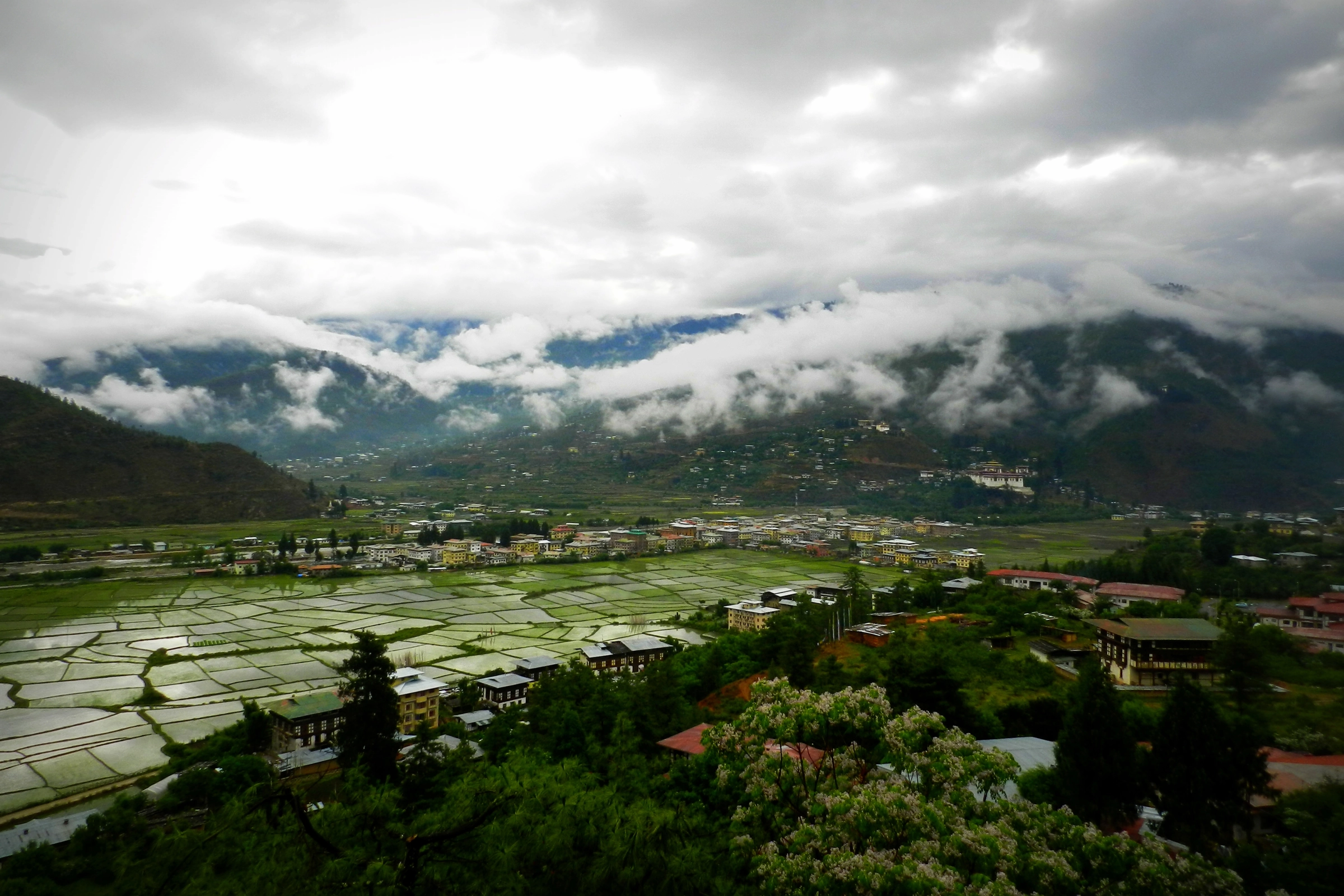 Paro
