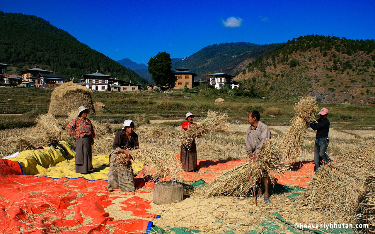 Royal Bhutan Tours