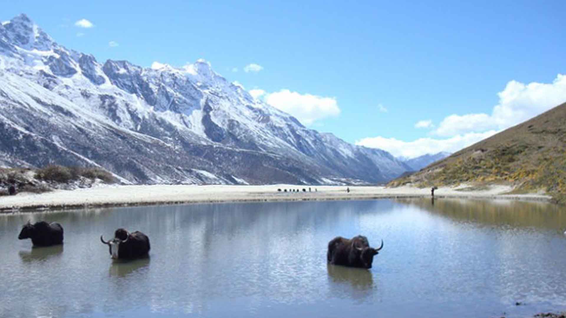 Dagala Thousand Lakes Trek