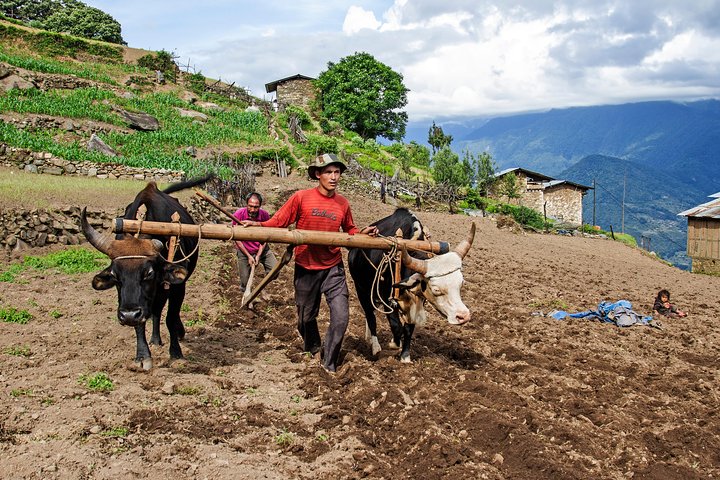 /media/tours/images/type/rural_bhutan_tour2.jpg